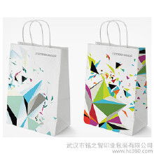 精美彩印紙袋的市場(chǎng)概覽 價(jià)格、批發(fā)與廠家選擇